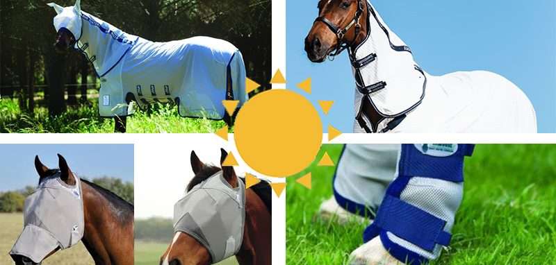 Summer Rugs and Fly Protection for your horse