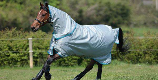 Horseware rugs at Proactive Animal Health