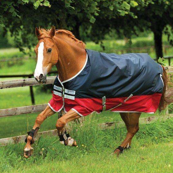 Horseware Mio - Base range turnout rug in navy and red