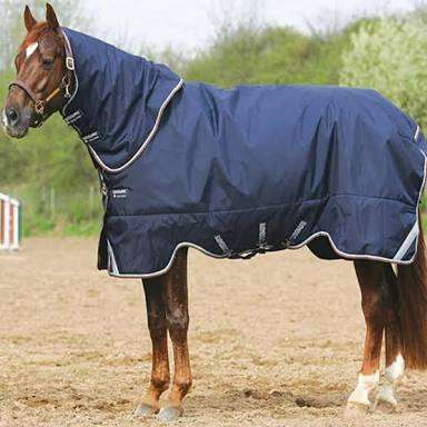 Rambo top of the range