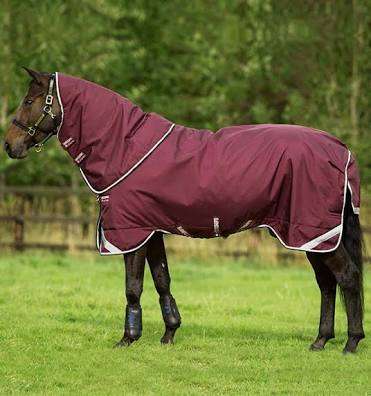 Rambo top of the range