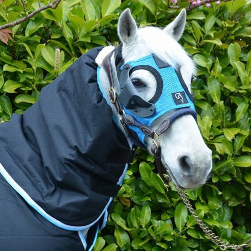 Equilume Curragh (Pony)