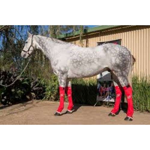 Hidez Ice Compression Socks