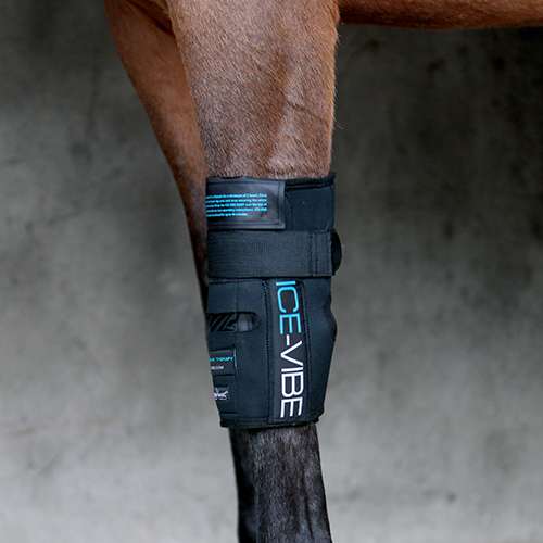 Ice Vibe Knee Wraps (New)