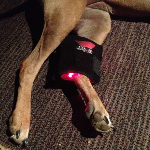 Red Light Therapy Mini Premium Therapy Wrap