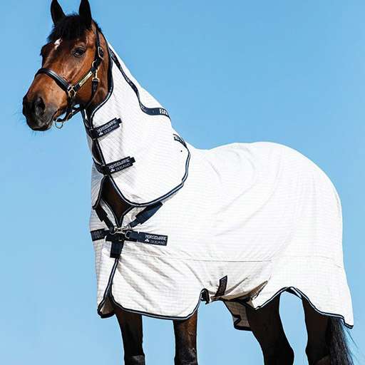 Rambo Allrounder V-Front