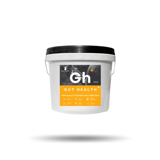 High Horse Gut Health
