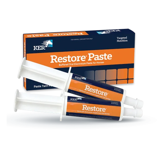 Restore Paste