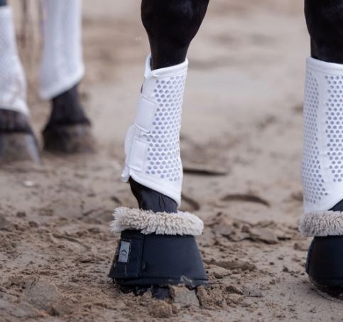 TotalCool Brushing Boot (PRE-ORDER)